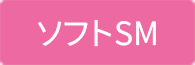 ソフトSM